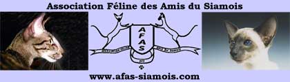 la chatterie des corsaires est membre de l'AFAS Association Féline des Amis du Siamois