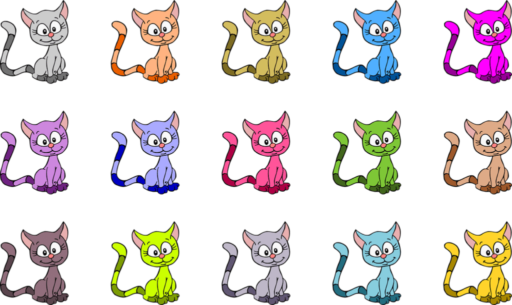 chatons oriental shorthair et siamoiss disponibles